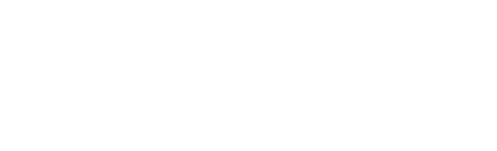 Dailo